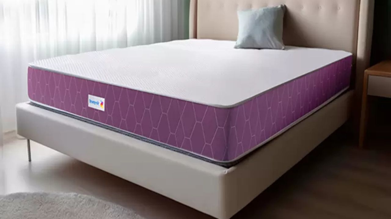 Sleepwell ortho mattress