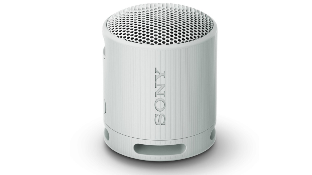Sony srs-xb100