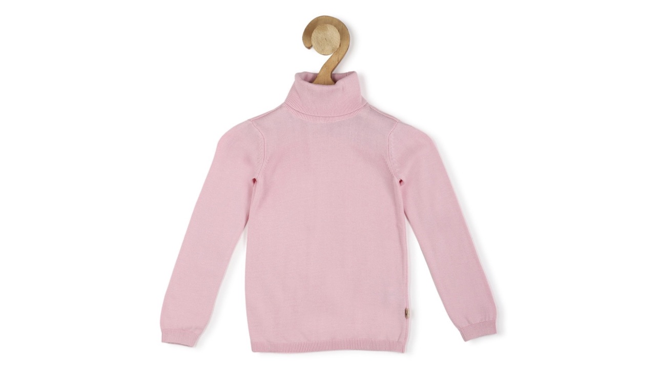 Allen Solly Junior Girls Turtle Neck Long Sleeve Pullover Sweaters