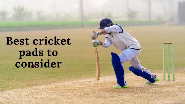 Best Cricket Pads to Consider