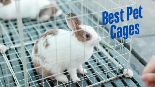 Best Pet cages