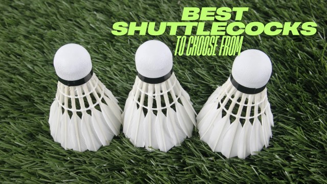 Best shuttlecocks for badminton