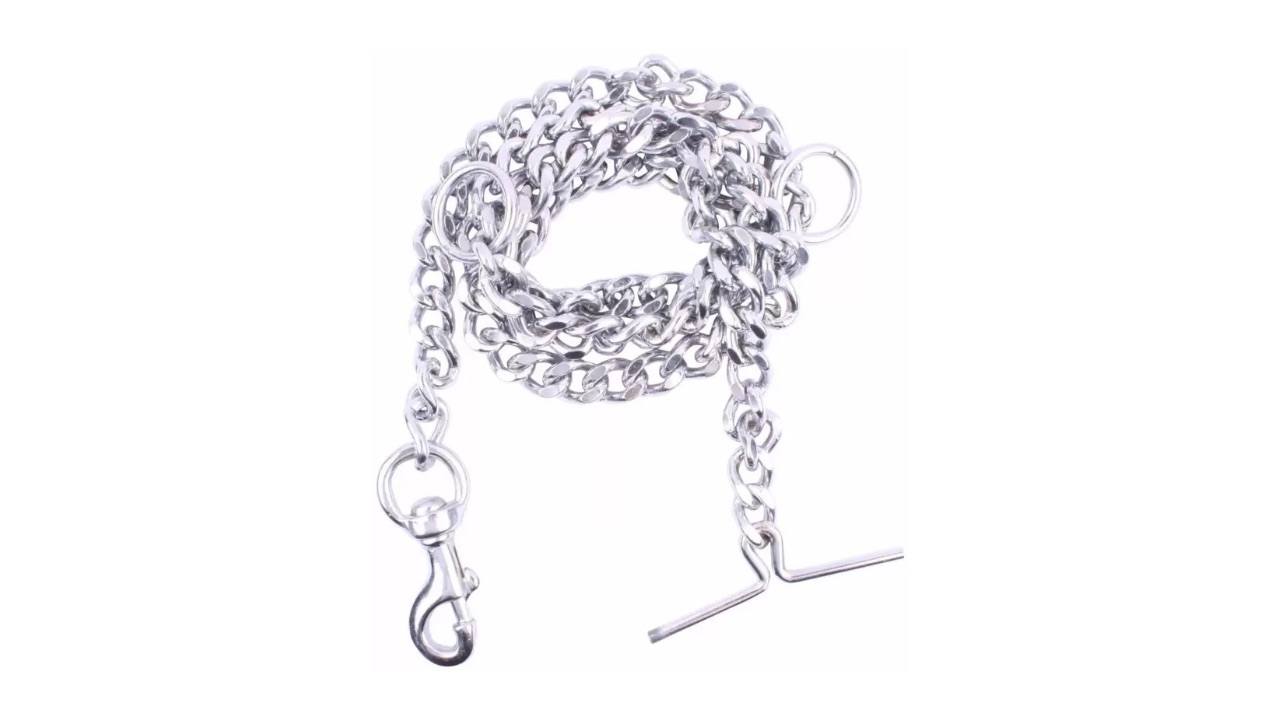 Dogtrust Dog Chain Leash for Large Dogs