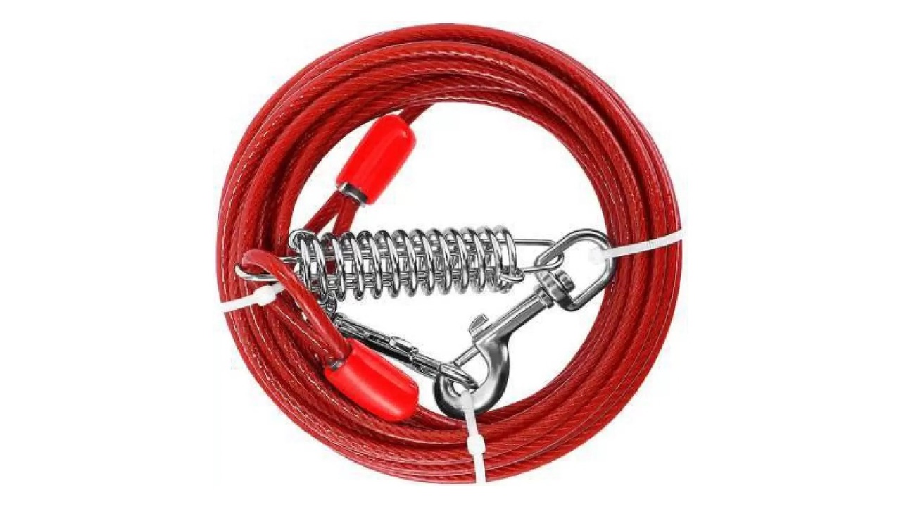 Dogtrust Tie-Out Cable Leash