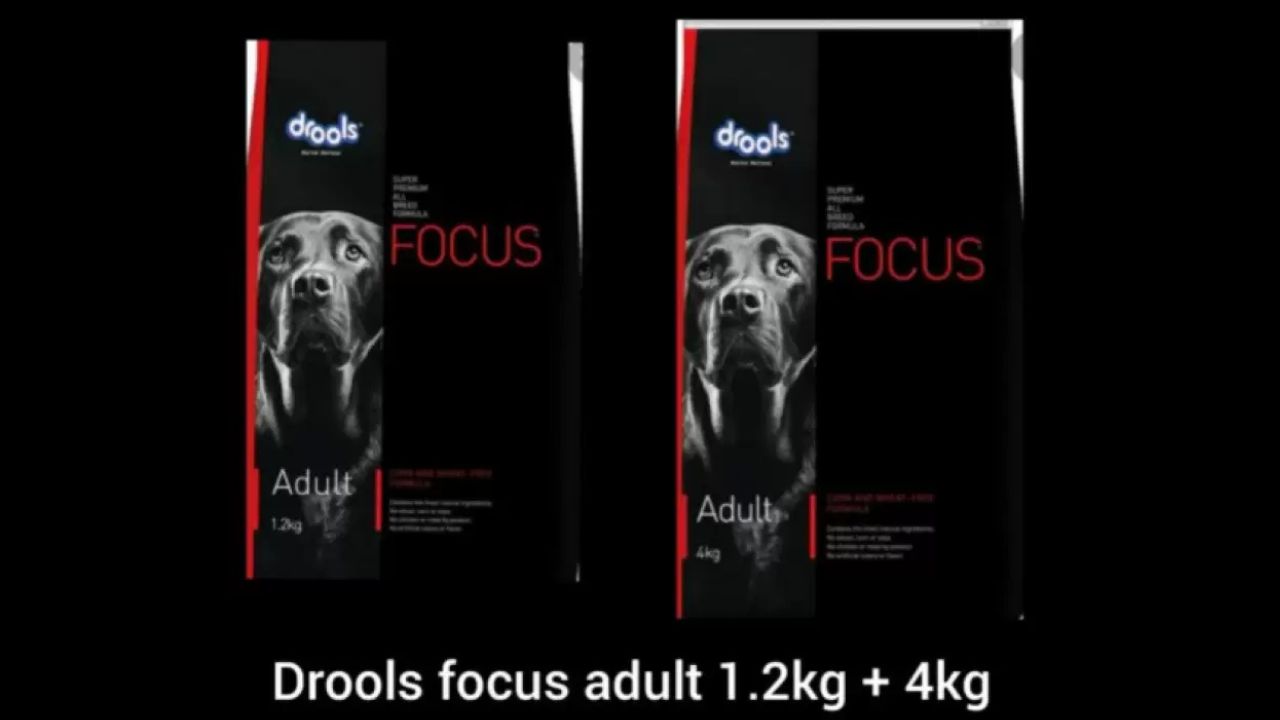 Drools Focus Adult 4kg + 1.2kg Combo