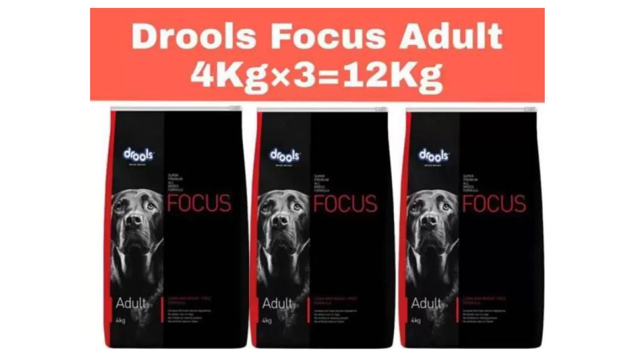 Drools Focus Adult 4kg Pack of 3 Combo