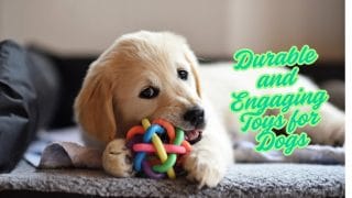 Durable and Engaging Toys for Dogs