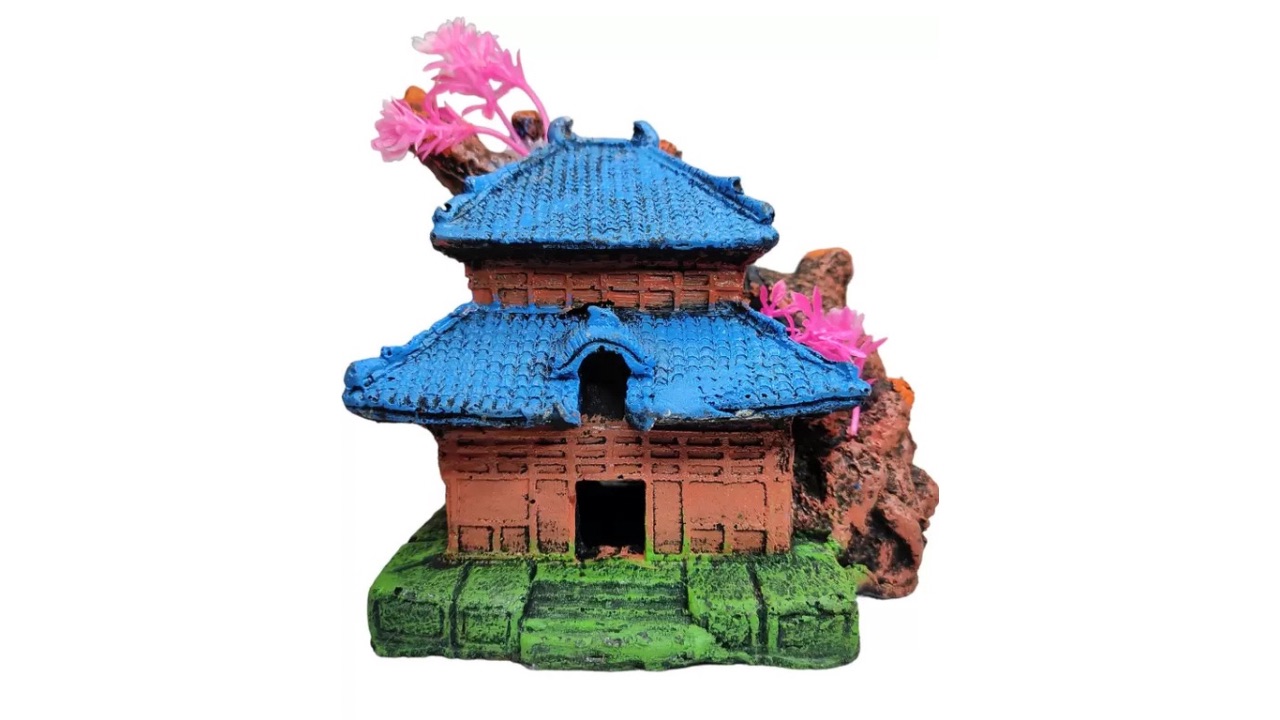 GIG Bazaar Aquarium Monk House