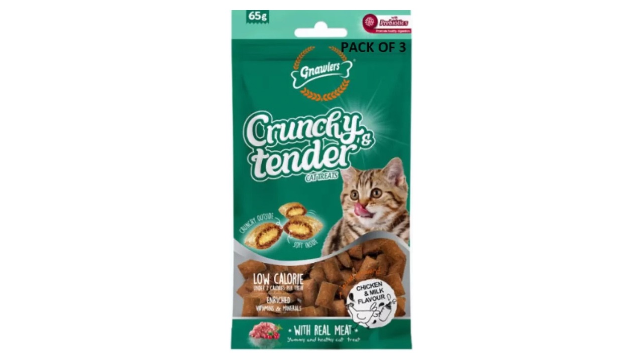 Gnawlers Crunchy and Tender Cat Treats - Salmon and Milk Flavor