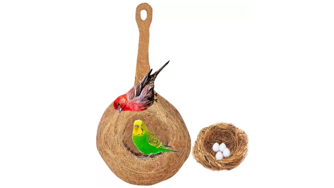 Greenrock Hand-Made Pure Natural Coir Bird Egg Hanging Nest House
