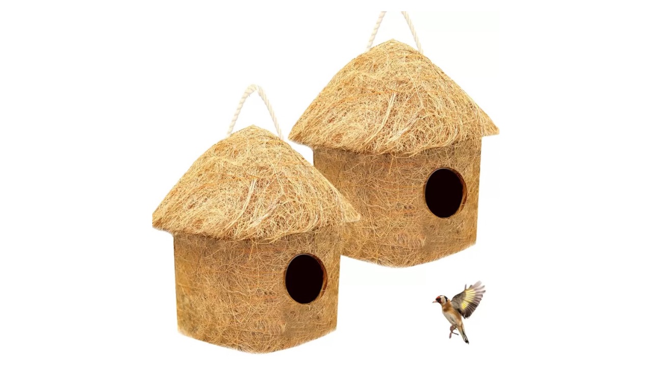 LiveOnce Natural Classic Bird House