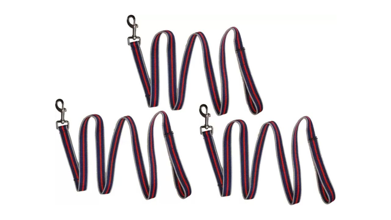 Panchtatava Reversible Reflective Nylon Leash