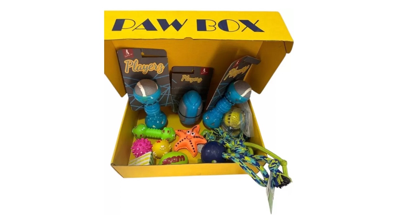 Pawbox Cotton Bone and Ball Chew Toy