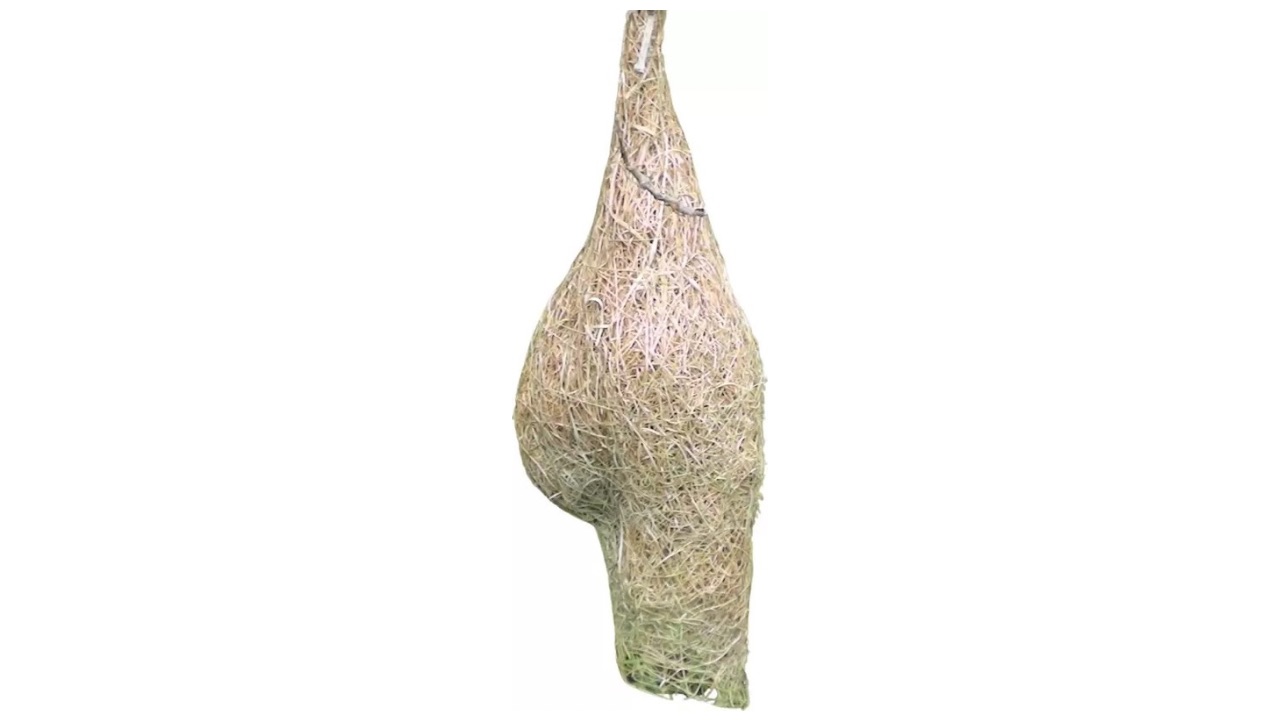 Ronalrocifer Real Organic Bird Nest House