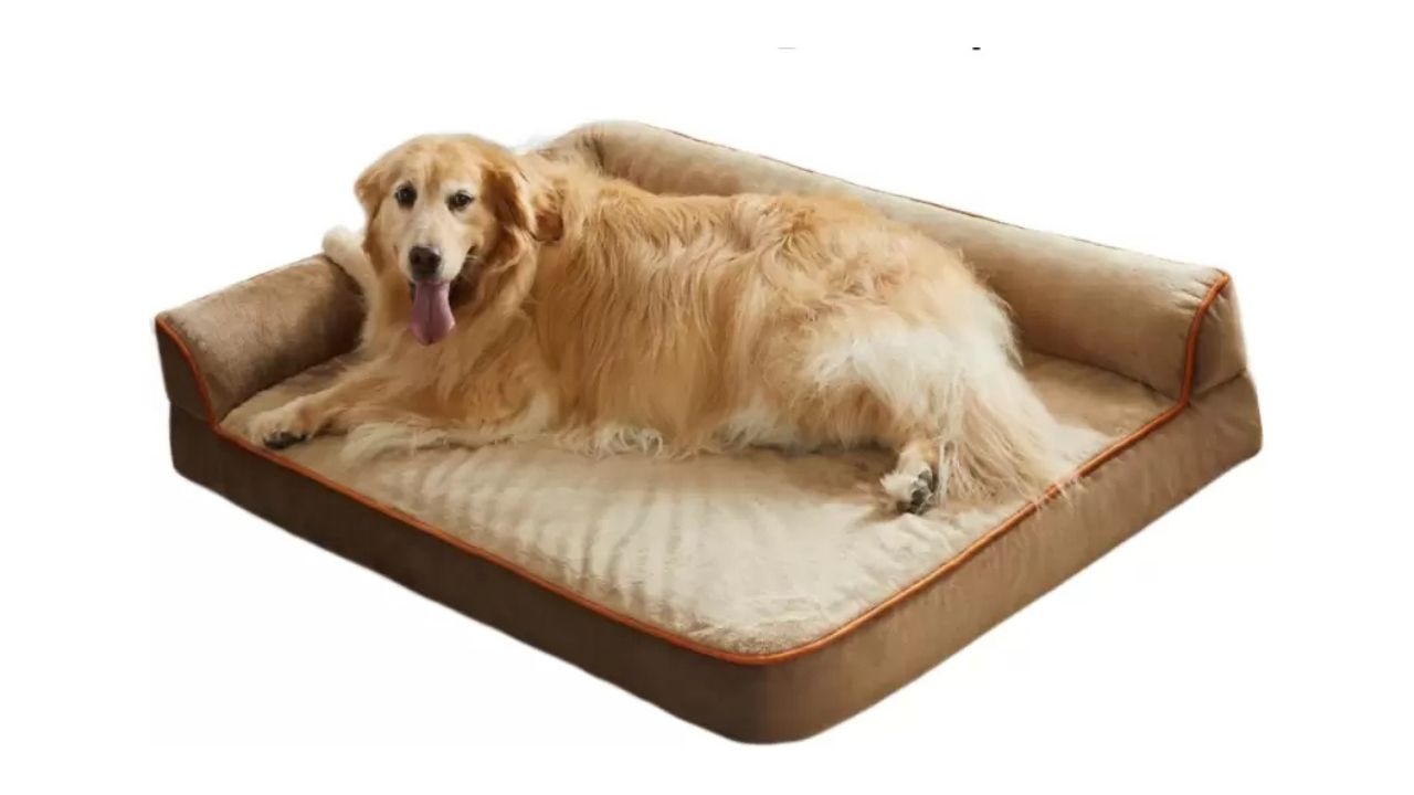 Royals Rore Ultra-Soft Ortho Bed for Pets