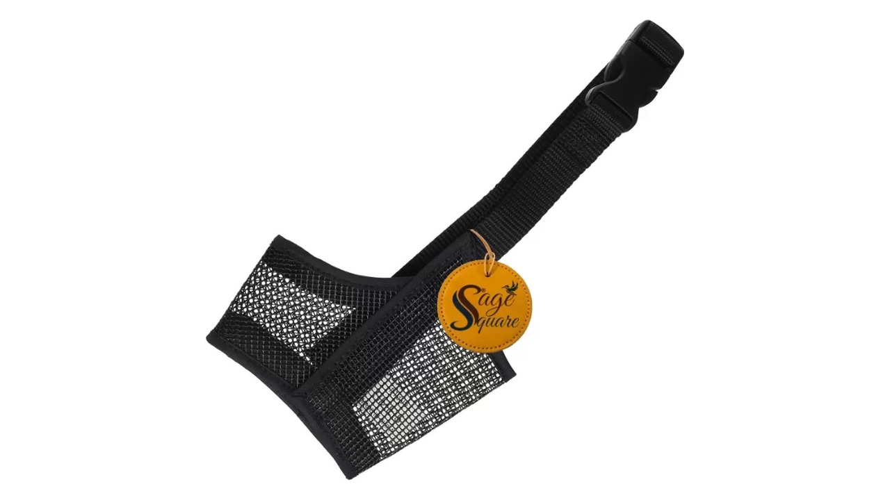 Sage Square Buckle Strap Net Wire Muzzle