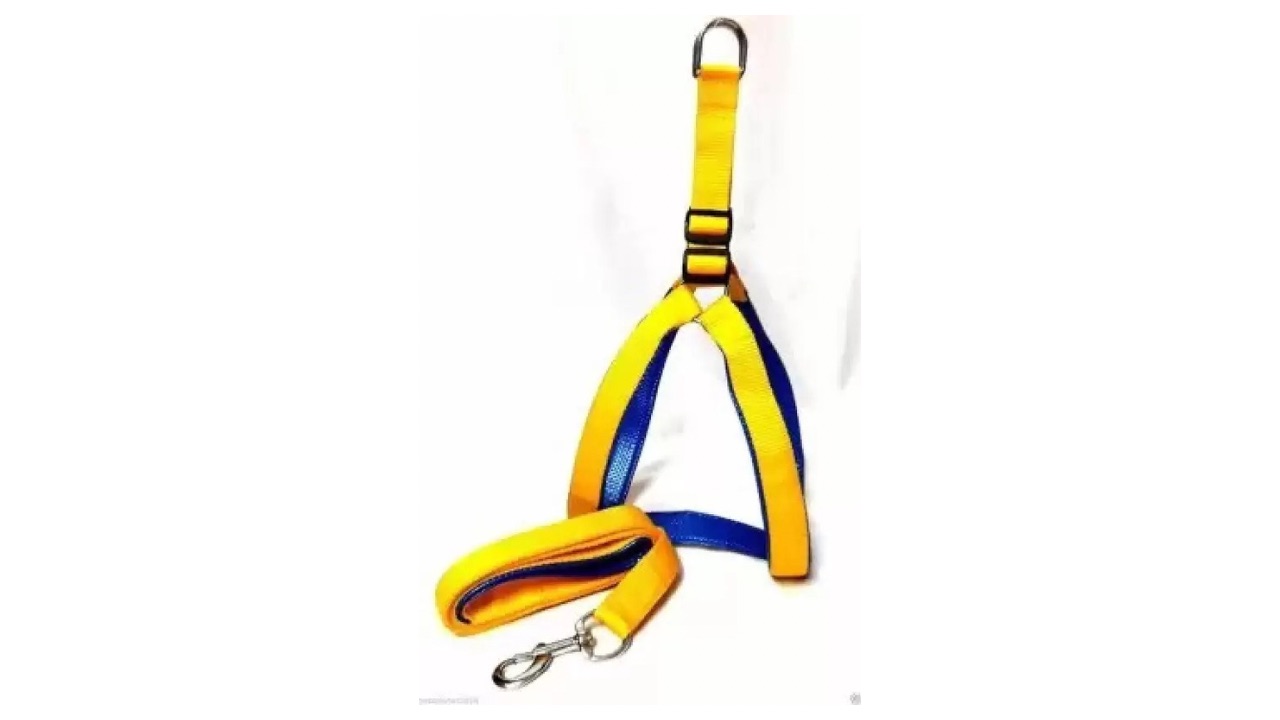Saway Export Quality Dog Harness and Leash