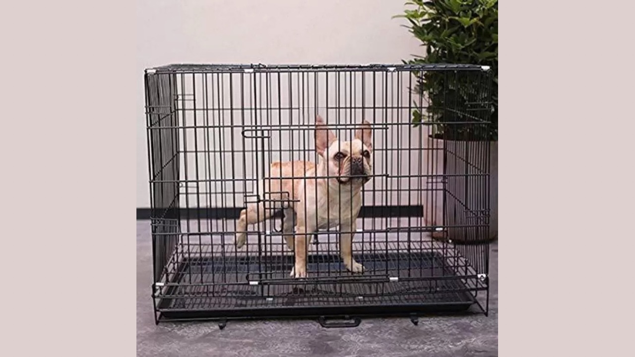 Sip Double Door Folding Metal Dog Cage with Paw Protector