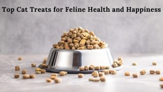 Top Cat Treats for Feline Health and Happiness