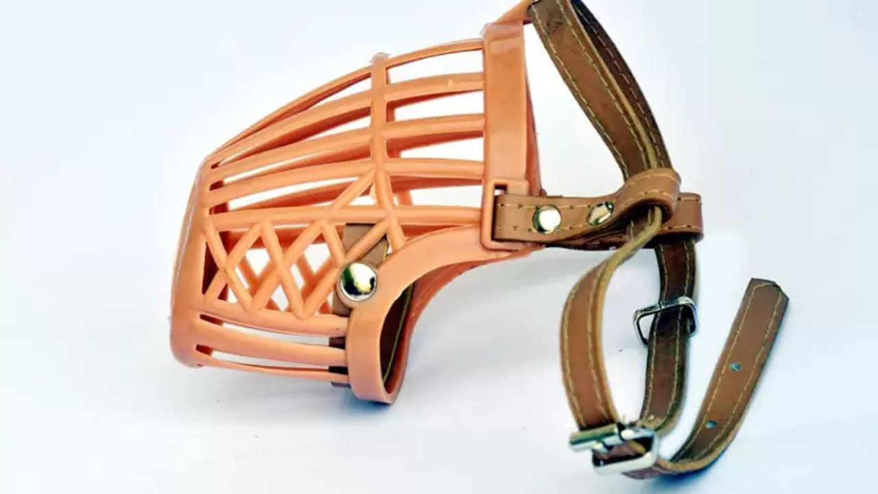Woofy Adjustable Muzzle Cum Mouth Cover