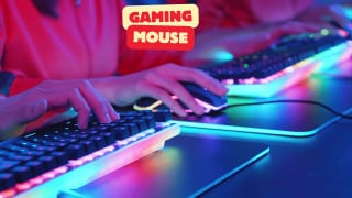 top gaming mouse