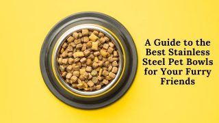 A Guide to the Best Stainless Steel Pet Bowls for Your Furry Friends