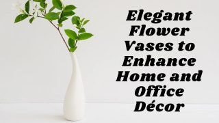 Elegant Flower Vases to Enhance Home and Office Décor