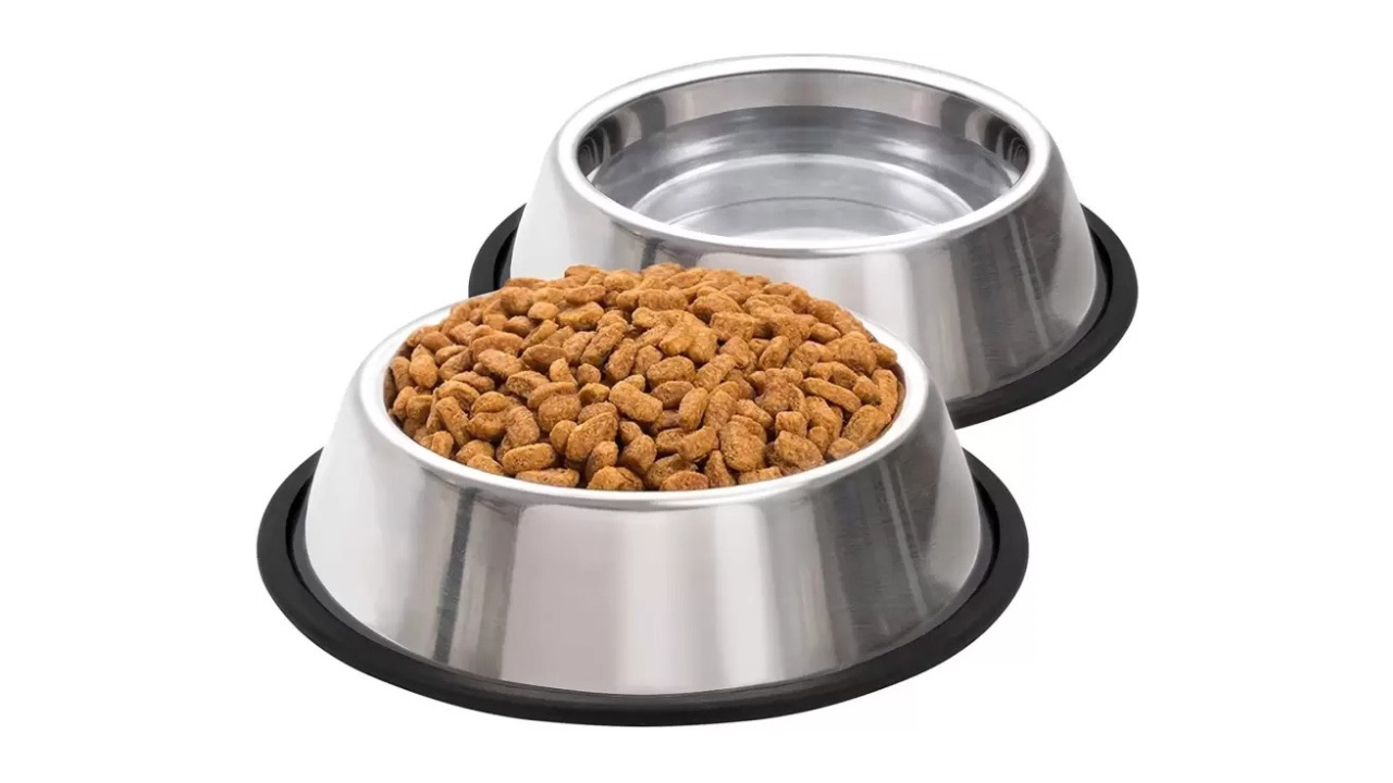 Furever Friends Dog Bowls - 2 Pack Stainless Steel