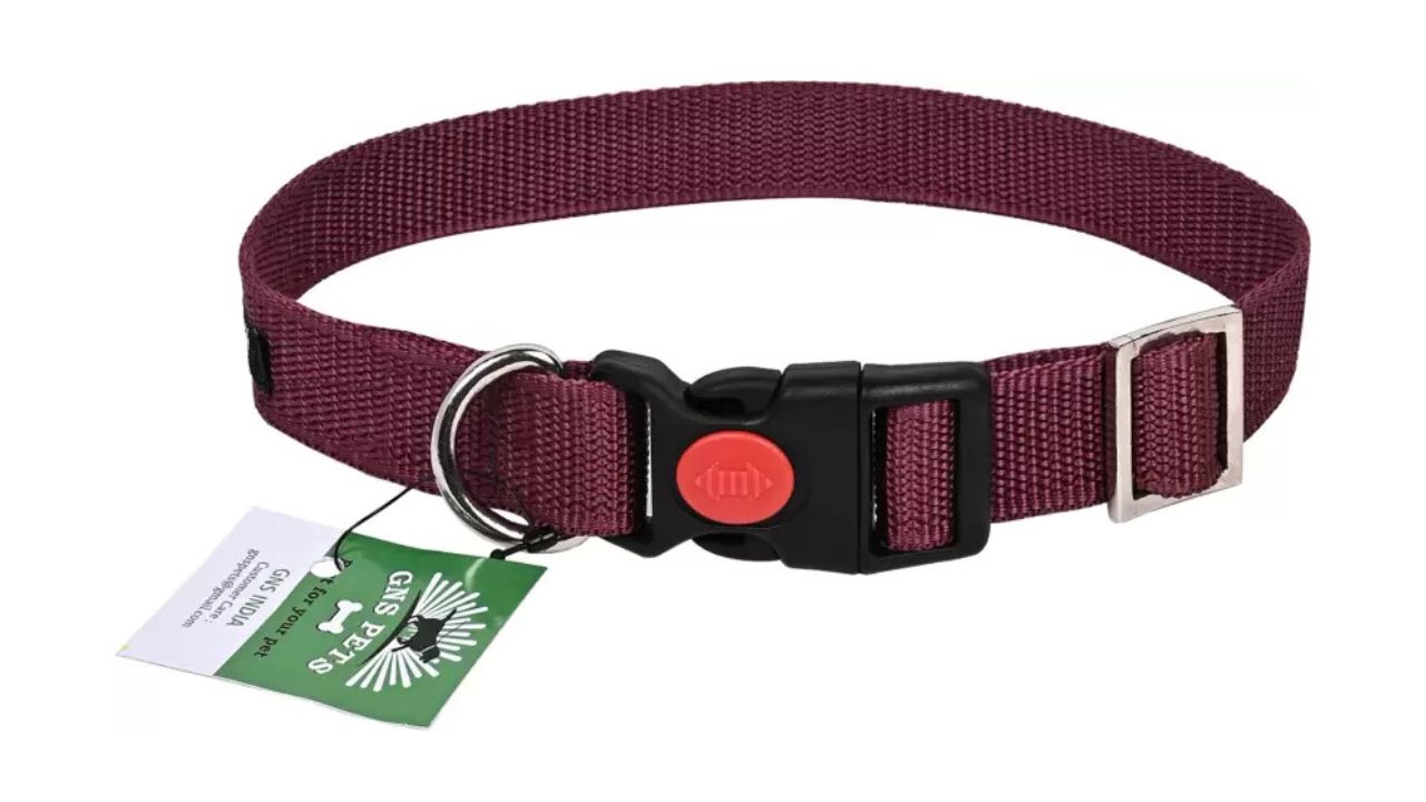 GNS Pets Collar for Puppies and Medium Dogs