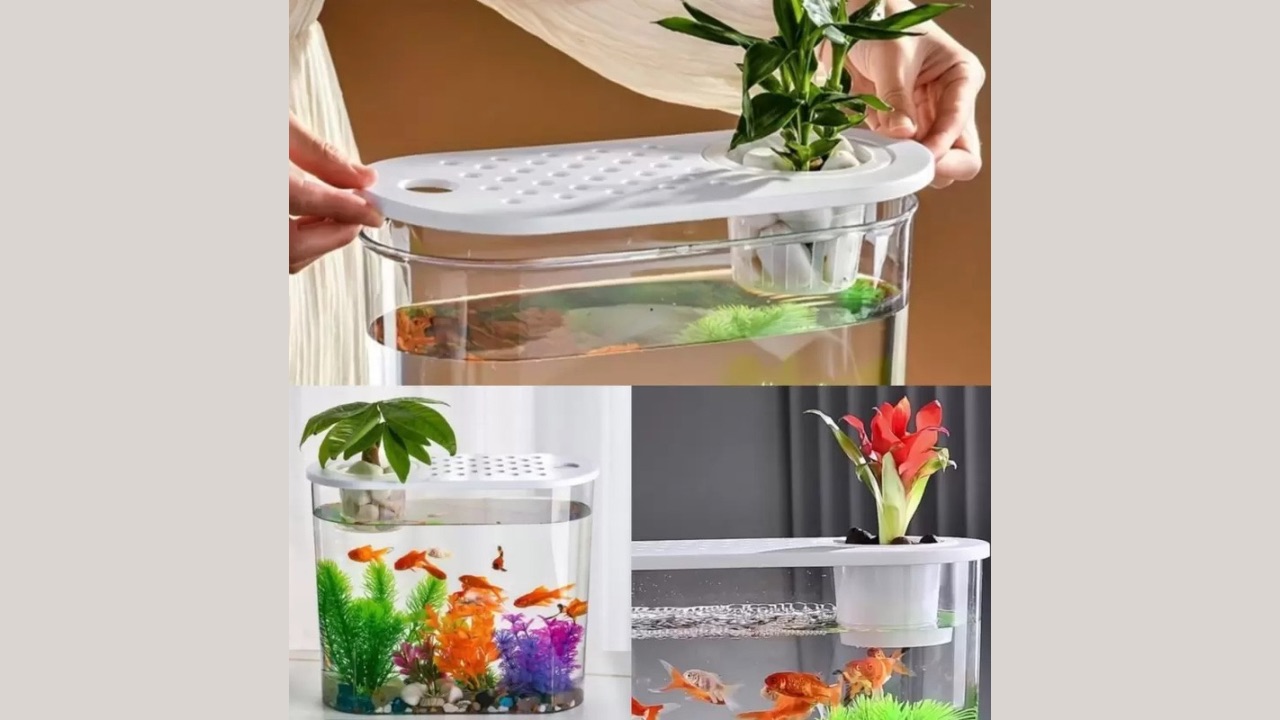PFT Aquarium Fish Tank with Light and Filter