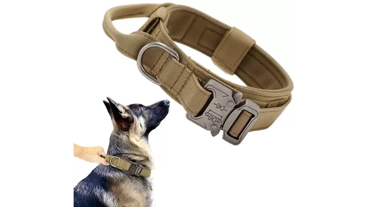 PatPat Heavy Duty Tactical Nylon Dog Collar
