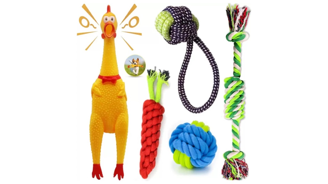 Petzluv Youhavedeal Dog Toys Squawking Chicken & Rubber Squeeze Toy