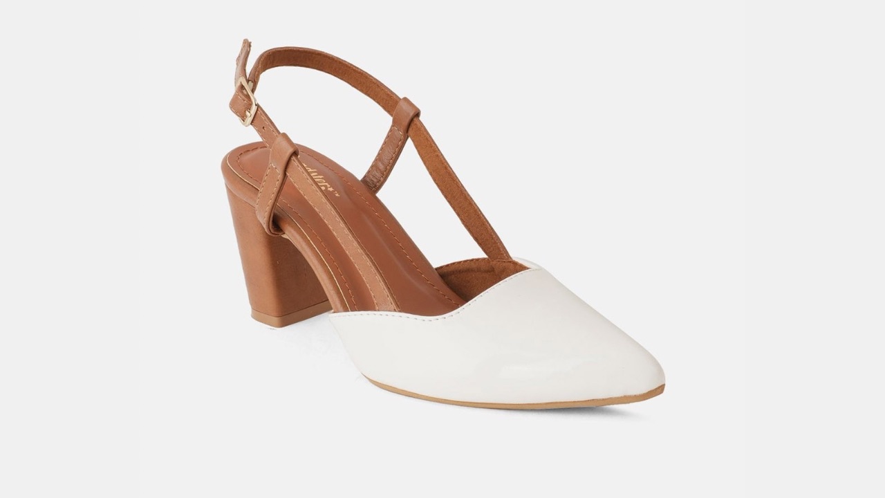 Roadster The Lifestyle Co. Women Pointed Toe Block Heels
