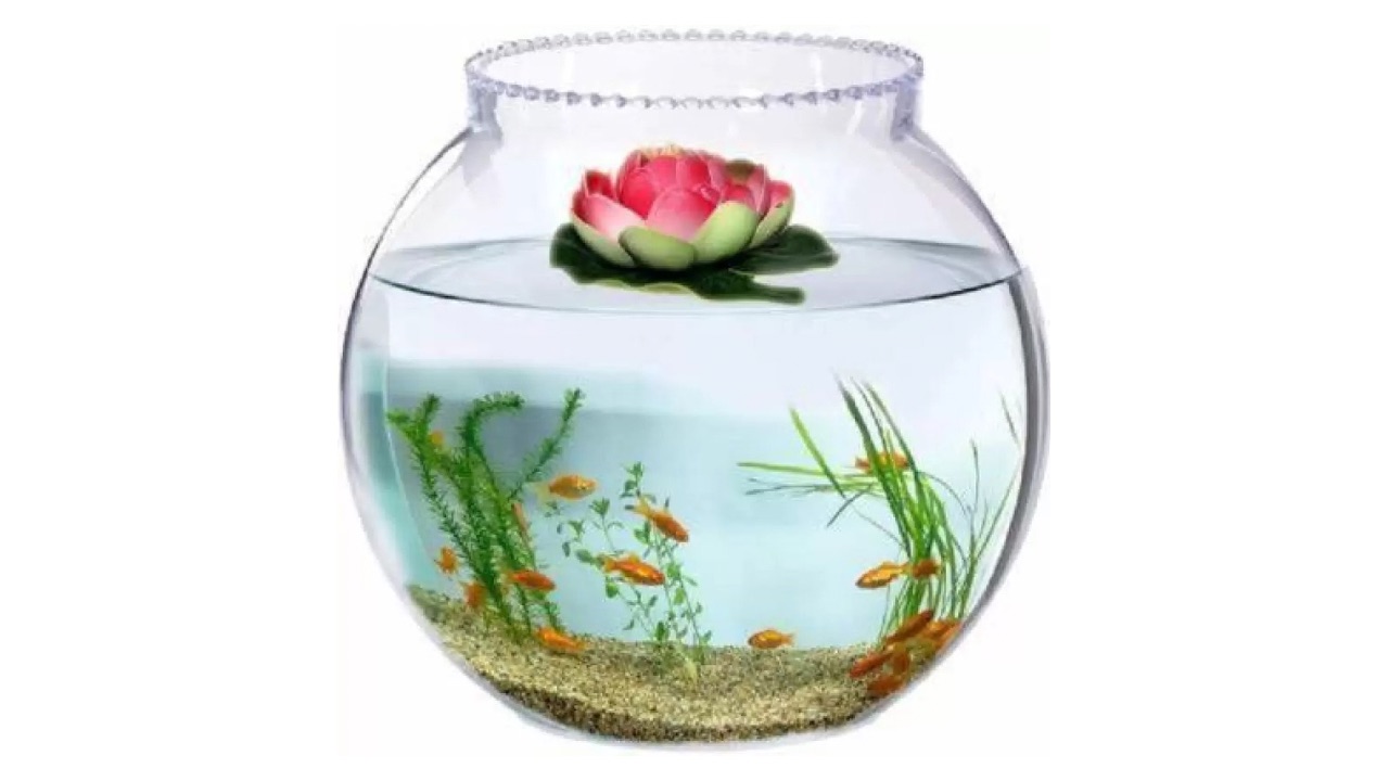 Savorade Crystal Fish Aquarium Tank