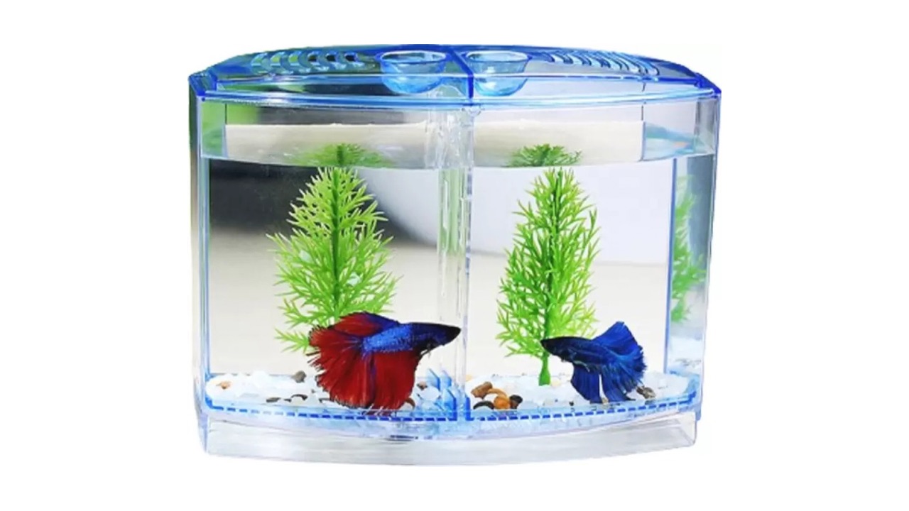 Scroll Store SS100 Rectangle Aquarium Tank