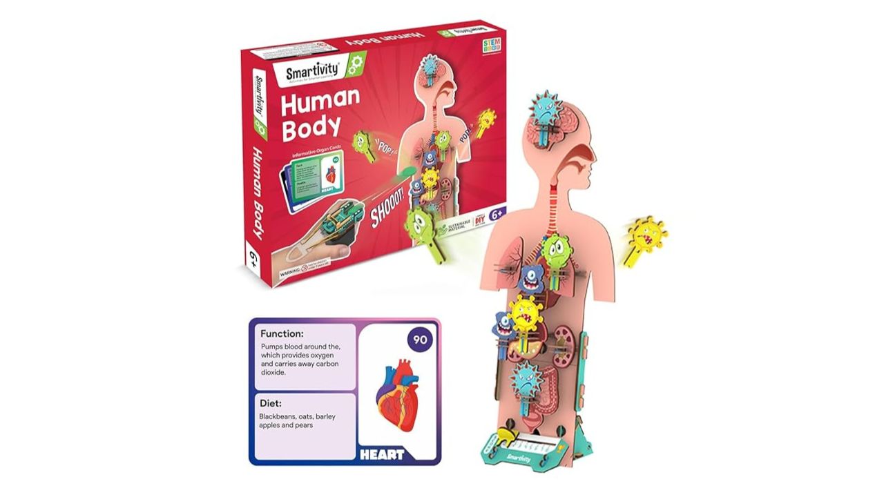 Smartivity Functions Educational Activity Kit