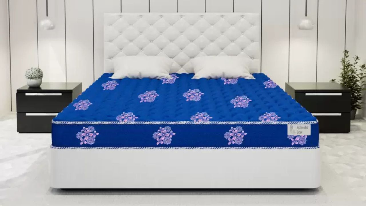 Splendid Organic 8-Inch Single Coir Mattress