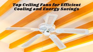 Top Ceiling Fans for Efficient Cooling and Energy Savings