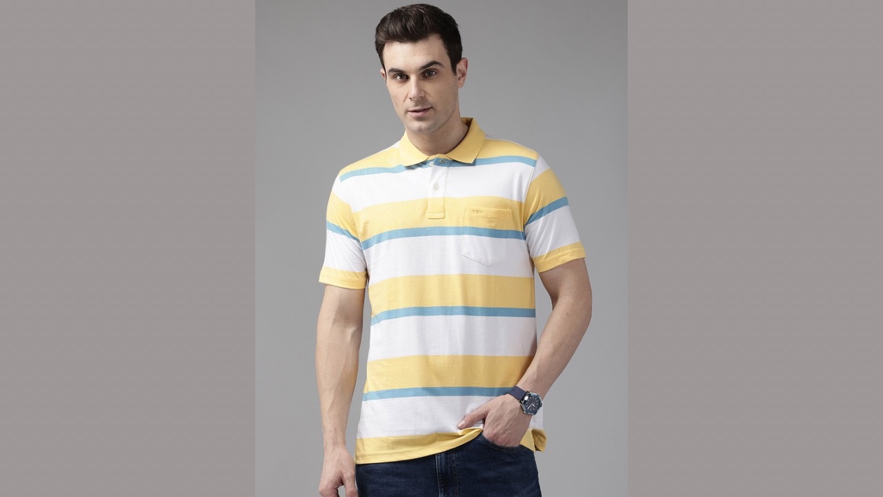 ColorPlus Polo Collar Striped T-Shirt