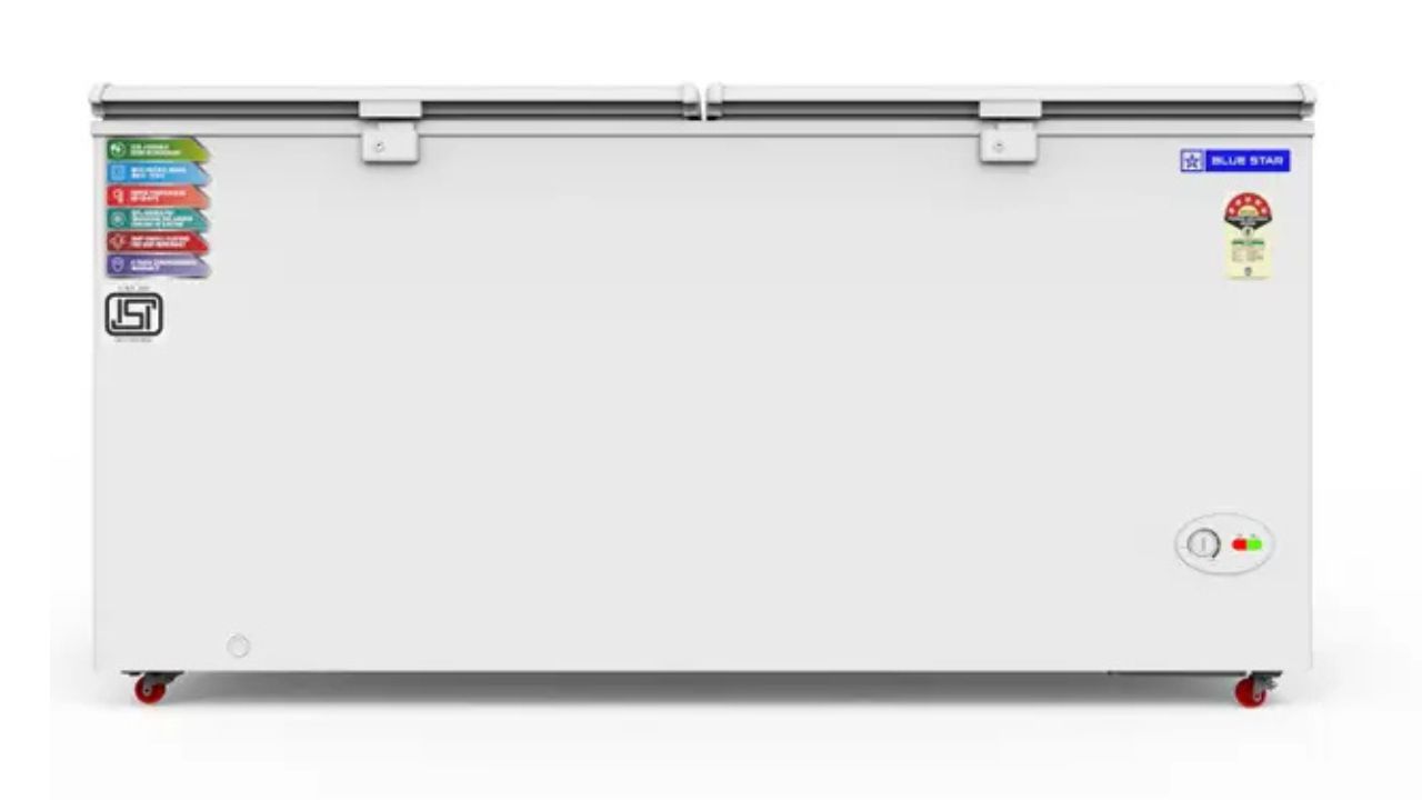 Blue Star 515 L Double Door Standard Deep Freezer