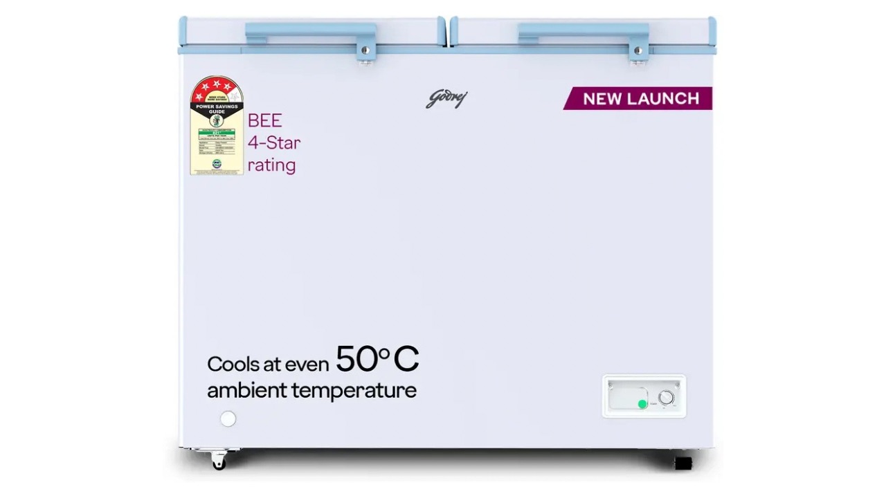 Godrej 302 L Double Door Standard Deep Freezer