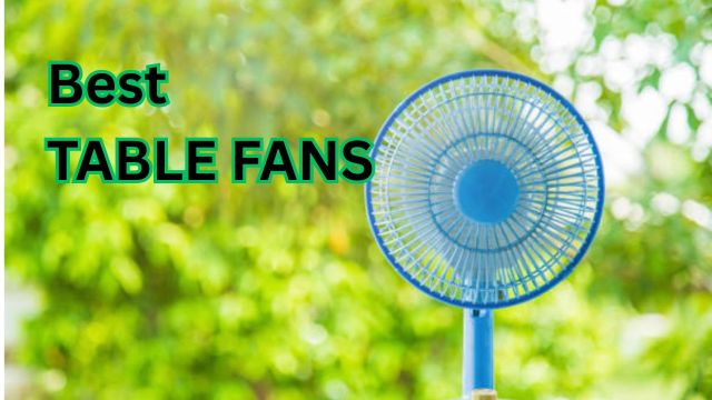 Best Table Fans