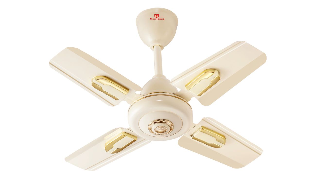 24-Inch Decorative Anti-Dust Ceiling Fan Herricane Snow