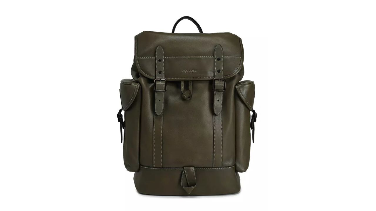 Coach Hitch Backpack (ct)