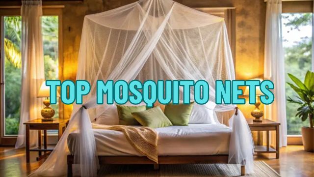 Top Mosquito Nets