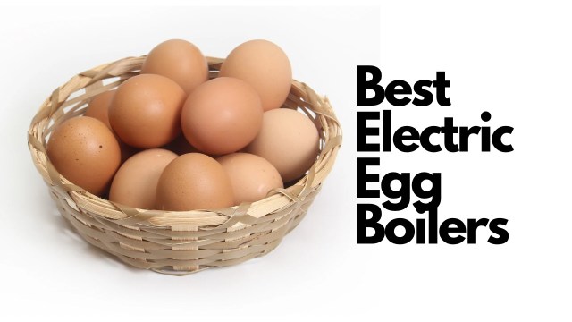 Best electric egg boilers