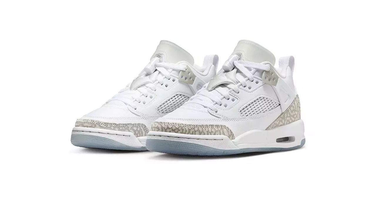 JORDAN Spizike Low Shoes