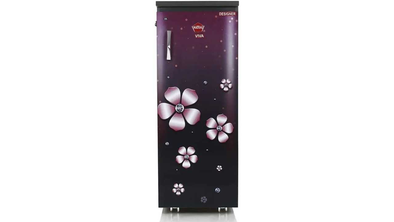 Natraj Aatamaker Viva Atta Chakki Fully Automatic Domestic Ghar Ghanti, Atta Maker 133 Flourmill