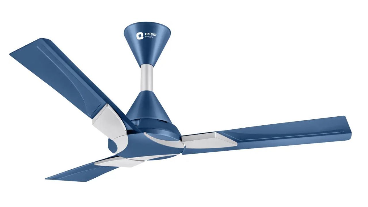 Orient Electric Wendy – Designer Looks, Daily Performance