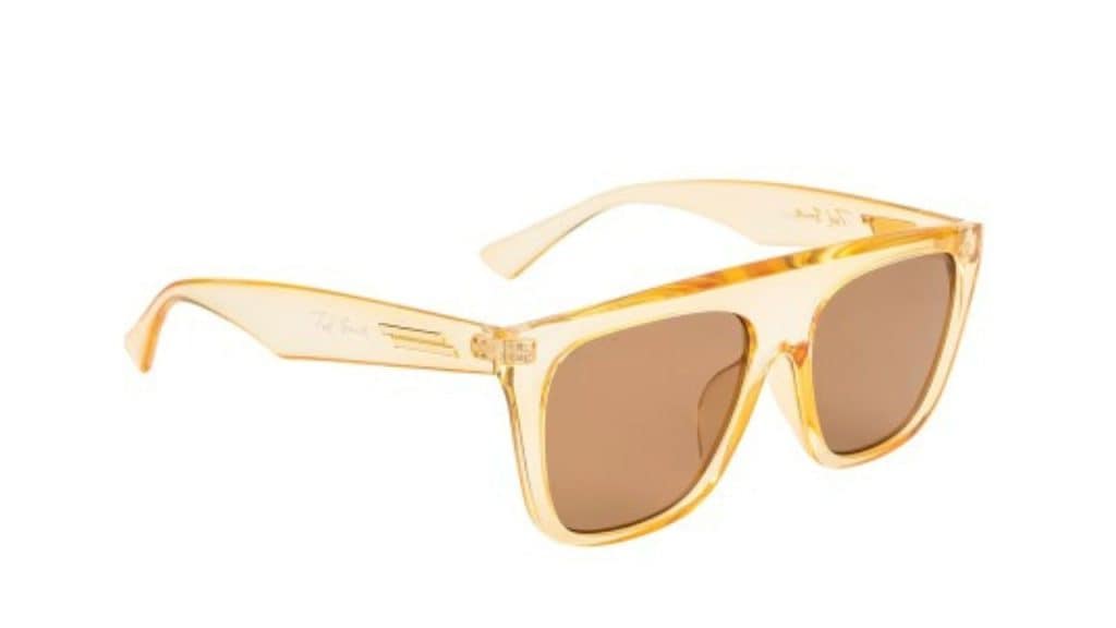 Ted Smith Unisex Brown Aesthetic Wayfarer Sunglasses